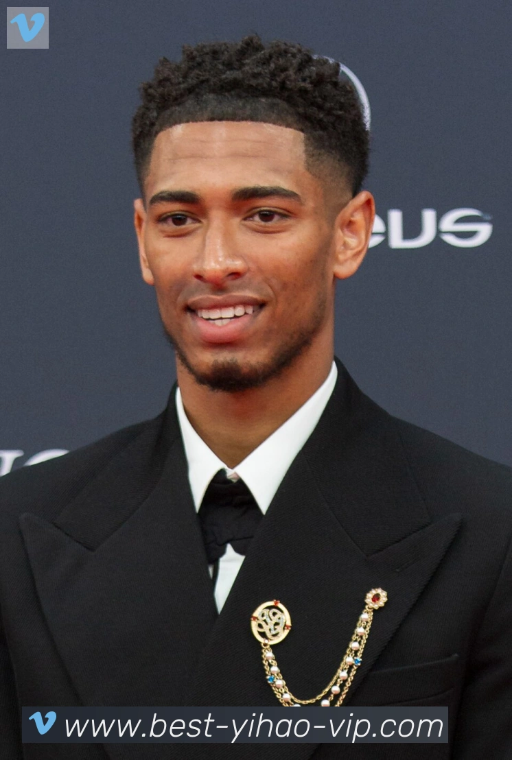 维尼修斯